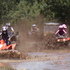 N1662687444_199981_3580728_thumb