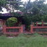 Imagen0131_thumb