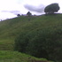 VENDO FINCA SANTA ROSA DE OSOS - Antioquia - Medellín