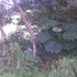 VENDO FINCA SANTA ROSA DE OSOS - Antioquia - Medellín