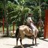 Santa Marta, El Aranar Casa Campestre - Magdalena - Santa Marta
