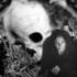 Imagen_006_thumb
