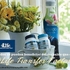 4LIFE Transfer Factor Plus en Guatemala!!