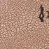 746_ad3e1e82e3-el-calentamiento-global_thumb