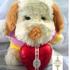 REGALOS SAN VALENTIN, PELUCHES Y CHOCOLATES - Lima Metropolitana y Callao - Lima
