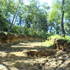 Terreno_3_thumb