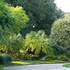 El Holandés Landscaping, S.R.L.