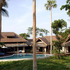 0226_1_lg_thumb