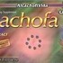 ALCACHOFA GN+ VIDA 100% ORIGINAL