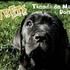 Yumypets_imagen