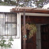 Dsc04294_thumb