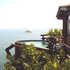 Acapulco Negócios