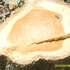S5000240_thumb