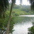 Bocas_
