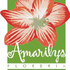 Florerias en Arequipa