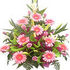 www.dehradunfloristshop.com
