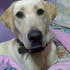 Imagen017_thumb