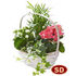 www.ukfloristshop.com