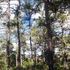 Vendo Finca con bosque conservado de Pino, 