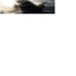 Tiara 3900 convertible 40"- 2 motores cummins 540hp/cada - Barcos - Olhão - Faro