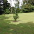 Venta de lote de 457m2 en La Fortuna San Carlos - General - San Carlos - Alajuela