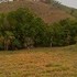 finca hubicada en Sardinal de Puntarenas, cerca del Centro turis