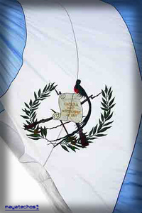 Mi Pais