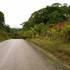 SE VENDE FINCA EN OSA $1.20 M2