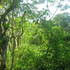 SE VENDE FINCA EN GUANAGUAZAPA ESCUINTLA
