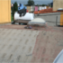 TEKNOFLEX, Impermeabilizante llanta e Importados. - Distrito Federal - Coyoacán