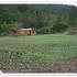 venta de terreno en el sector del Uyuca (L 75.00)vr2