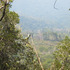 REMATO FINCA EN EL ESTOR IZABAL