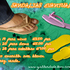 Sandalias eventuales para alberfadas, spa, bodas, quince anos,