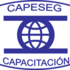 CURSOS PARA GUARDIAS DE SEGURIDAD – BASICO Y PERFECCIONAMIENTO. 