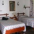 ALQUILO  CASA EN PUNTA DEL ESTE,  - Maldonado - Punta del Este