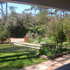 ALQUILO  CASA EN PUNTA DEL ESTE,  - Maldonado - Punta del Este