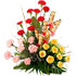 www.expresscakesdelhi.com