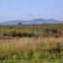 ARGENTINA VENTA DE CAMPO EN LA PROVINCIA DE MENDOZA