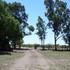 VENDO CAMPO EN MENDOZA ARGENTINA