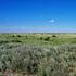 ARGENTINA VENTA DE CAMPO EN LA PROVINCIA DE LA PAMPA