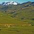VENTA DE CAMPO EN LA PROVINCIA DE NEUQUEN ARGENTINA