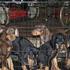 Doberman pedigri de campeones de Nivel Mundial 