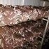 venta de shiitake fresco, garantizamos suministro todo el año - Valle del Cauca - Cali