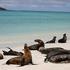 ISLAS GALAPAGOS TOURS TODO INCLUIDO CRUCEROS ECONOMICOS VIAJE GUANI