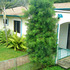 CASA EN KM 14 C. A MASAYA COM AMPLIO TERRENO