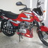 vendo boxer en medellin