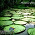 AMAZONAS TODO INCLUIDO UN PARAISO  VERDE
