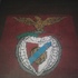 Tapete de trapilho