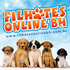 Venda de filhotes de cães, entrega em domicílio