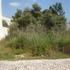 Terreno Urbano Venda Setúbal Almada